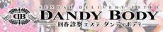 DANDY BODY `tf@GXe _fB{fB`̃oi[