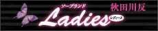 \[vh fB[X̃oi[